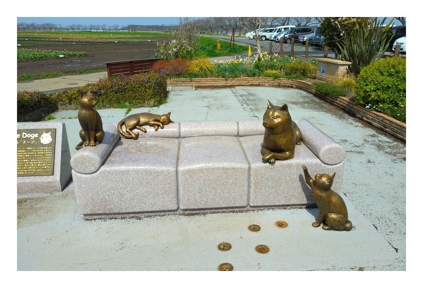わんこと佐倉ふるさと広場