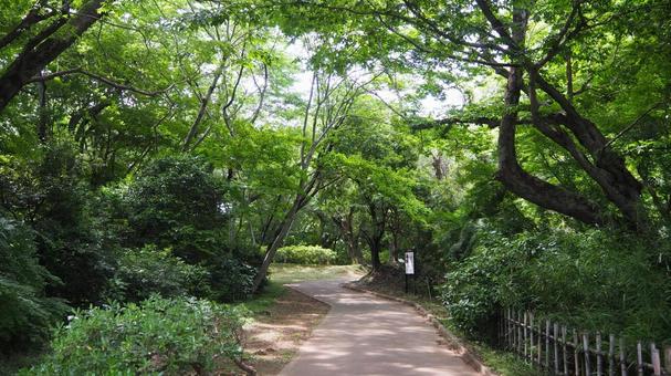 わんこと佐倉城址公園