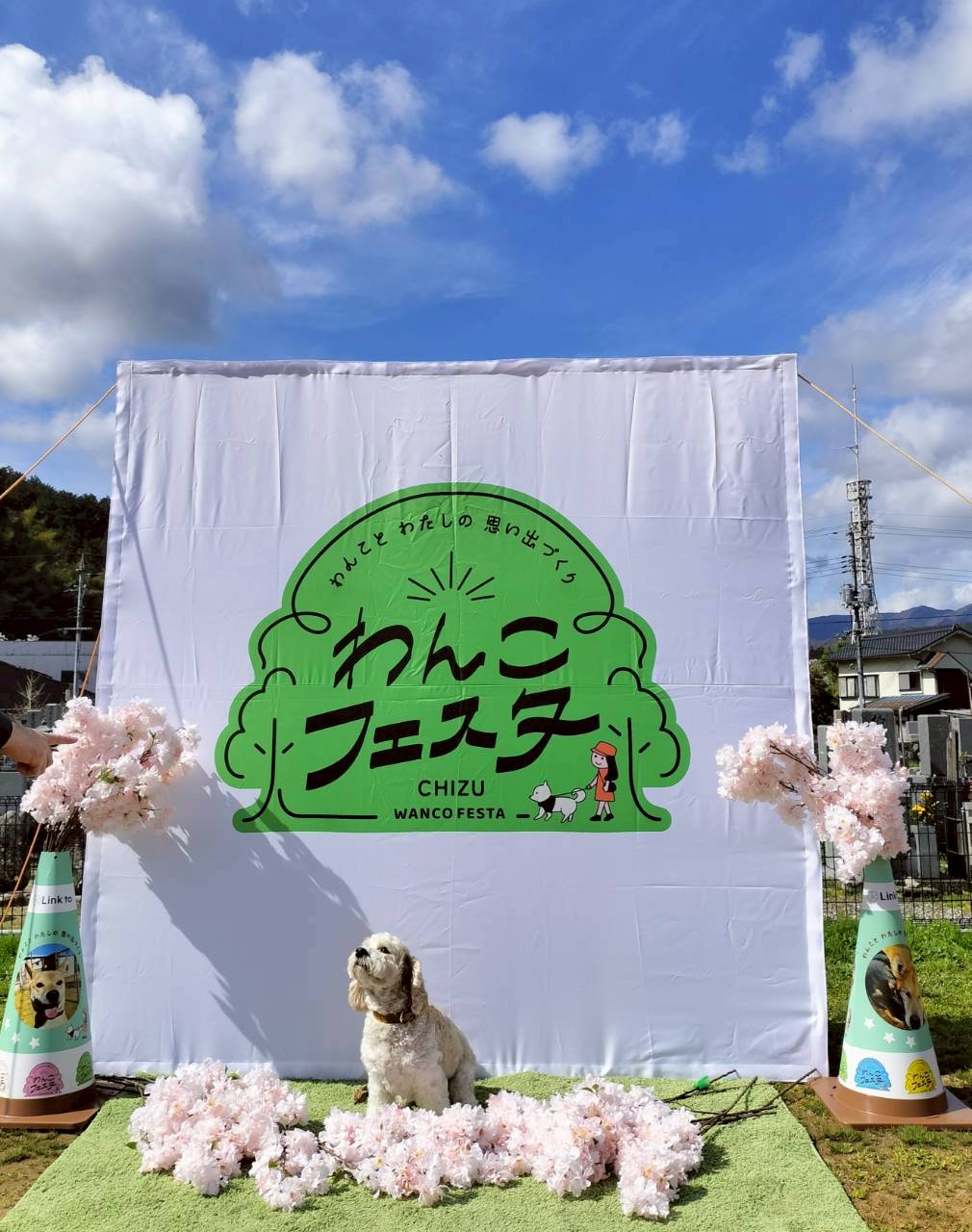 フォトスポット
